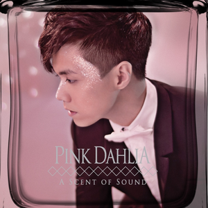 君赢天下密码TV最新版本更新内容
